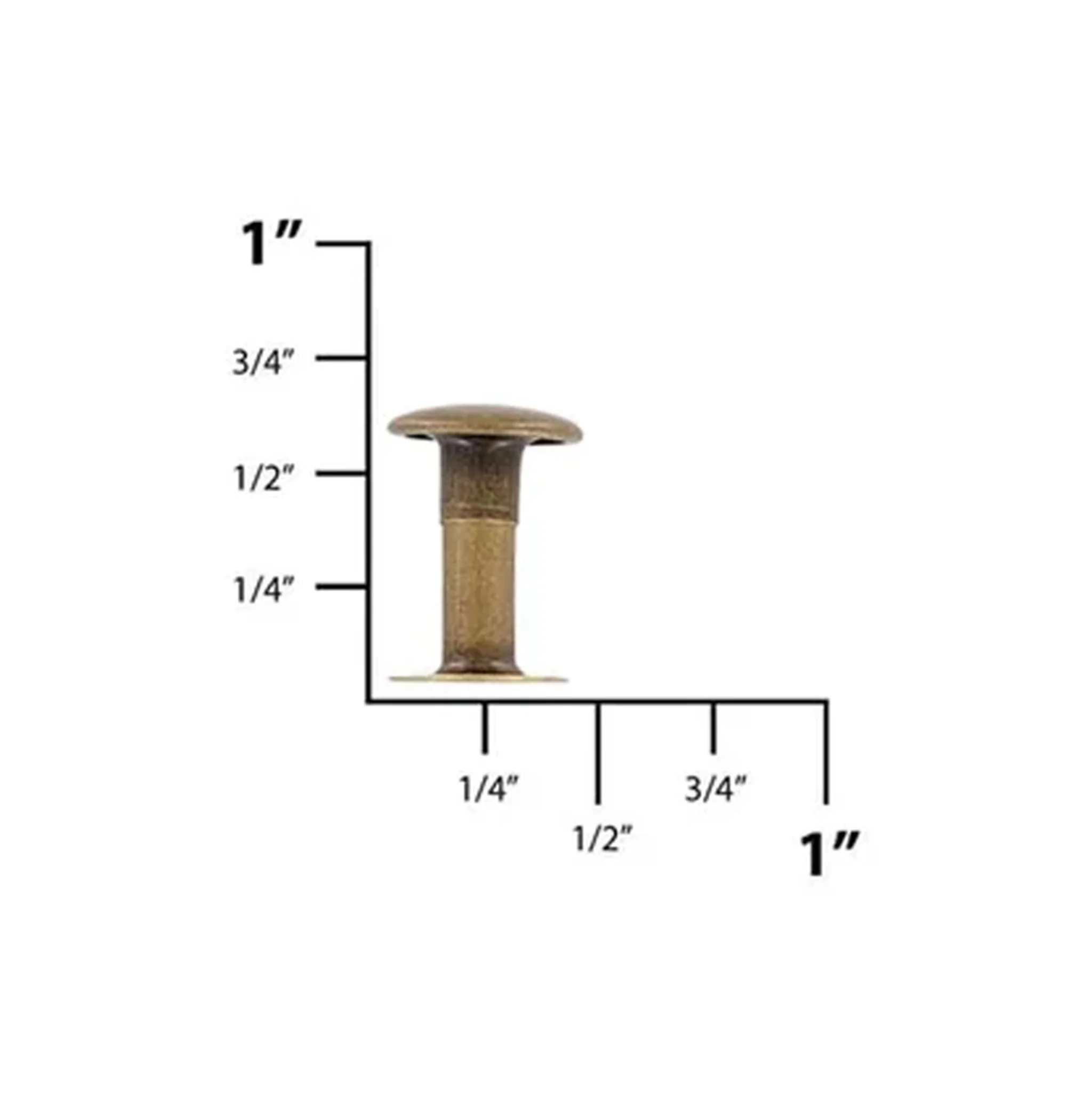 15mm Antique Brass, Single Cap Jiffy Rivets, Solid Brass-100ct - Image 2