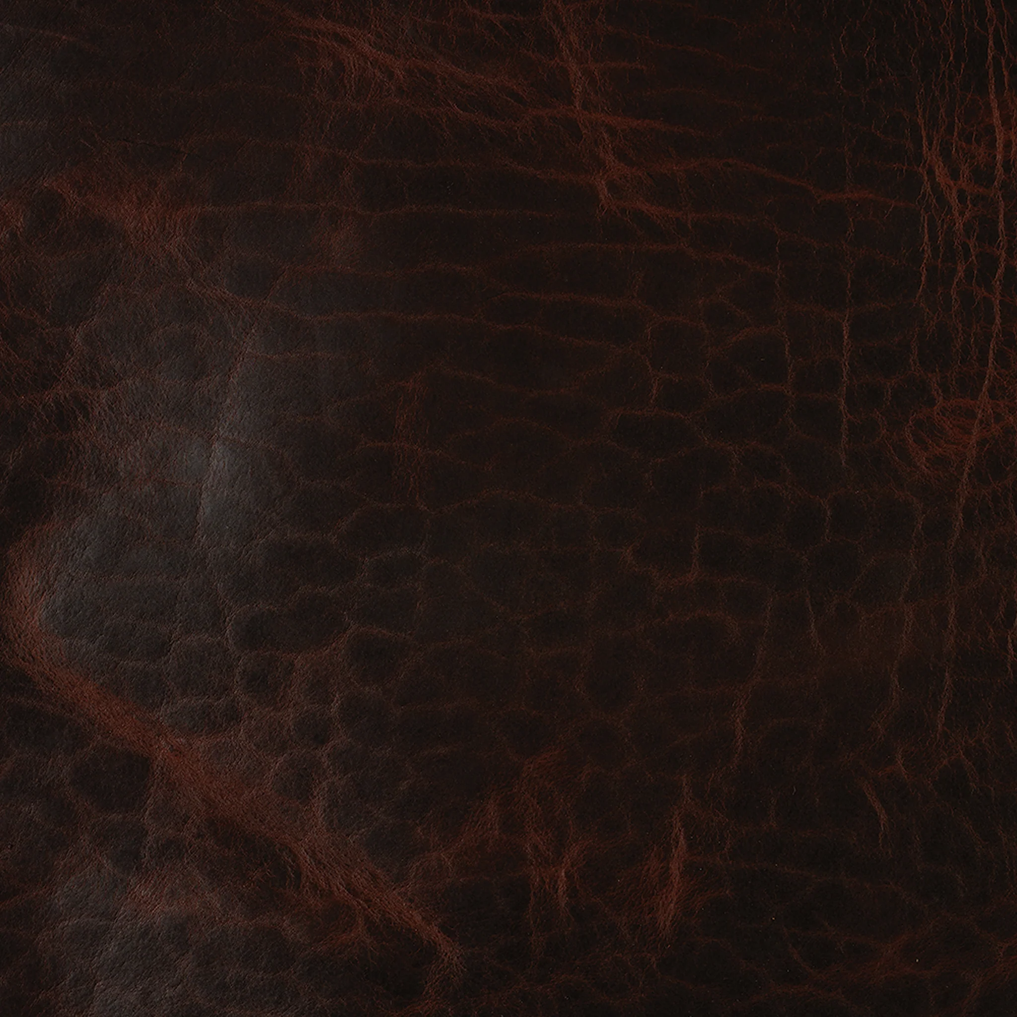 Sample, American Bison Leather, Side - Image 7