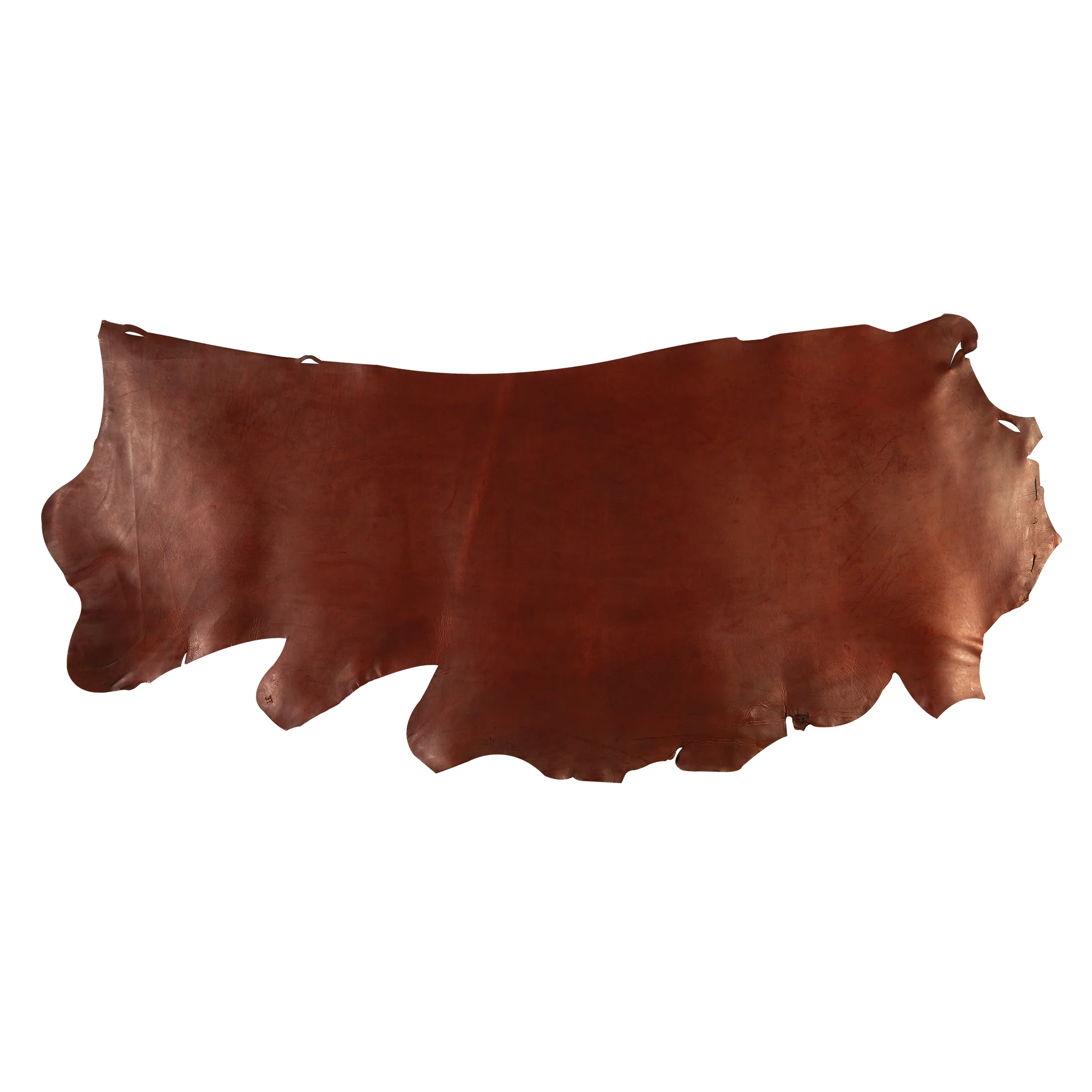CHAHINLEATHER® English Bridle Sides - Image 3
