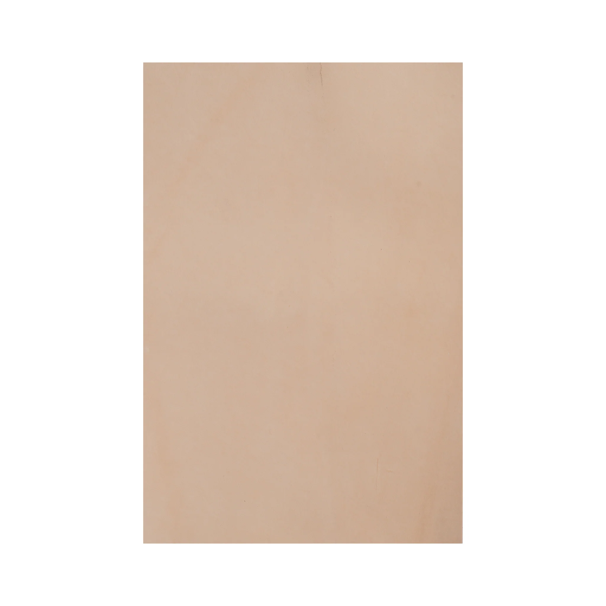 Veg Tanned Leather Panel - Image 5