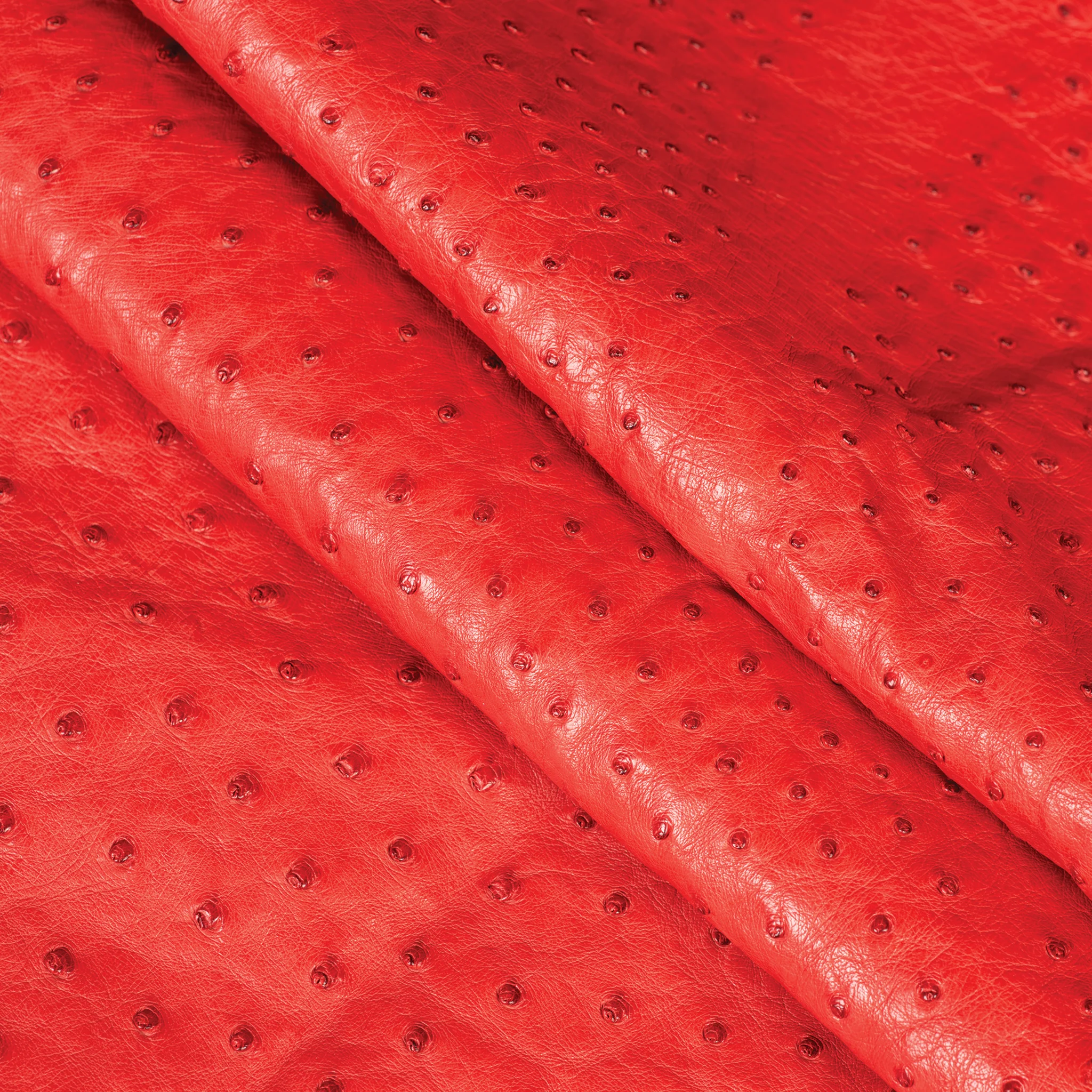 Ostrich Leather - Image 10