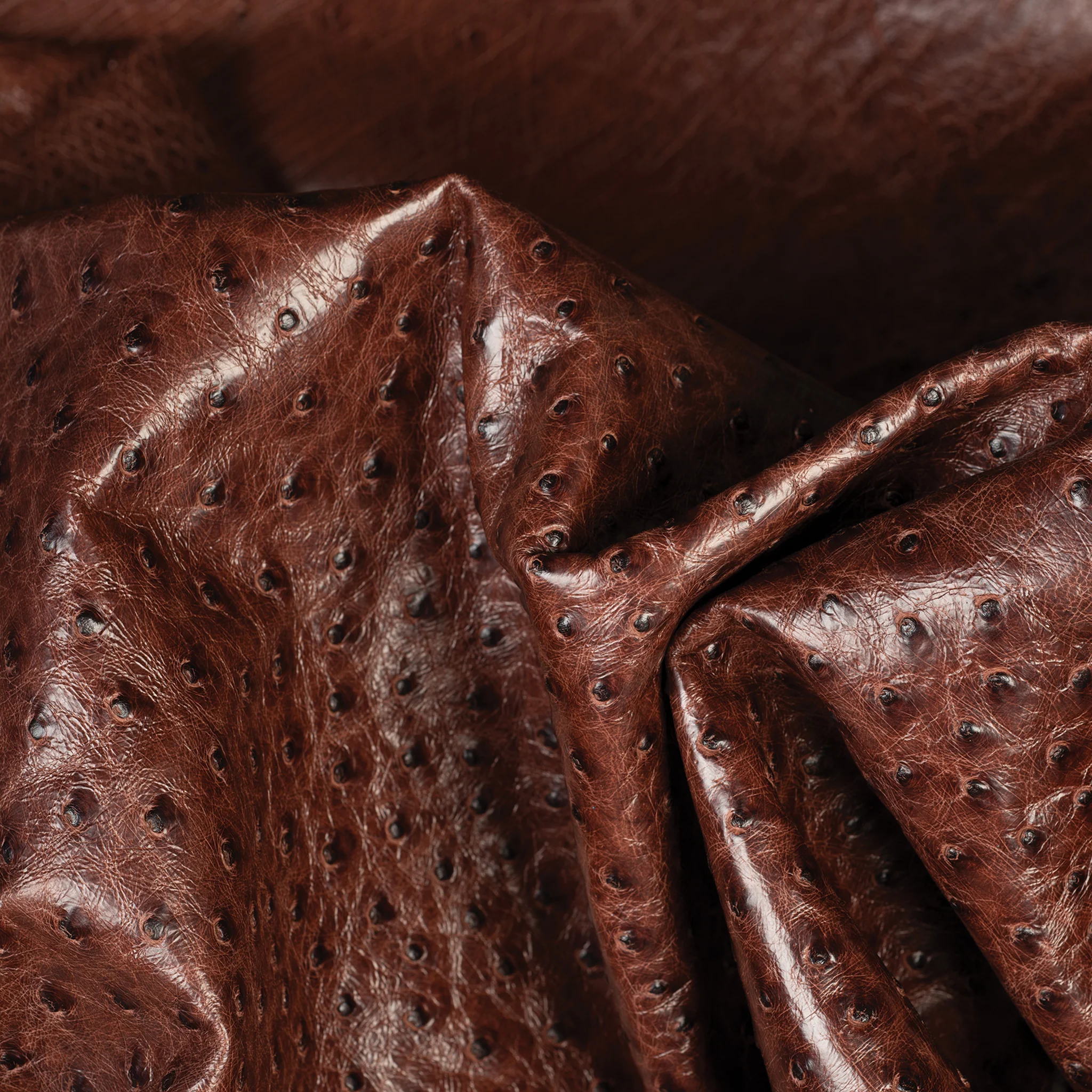 Ostrich Leather - Image 12