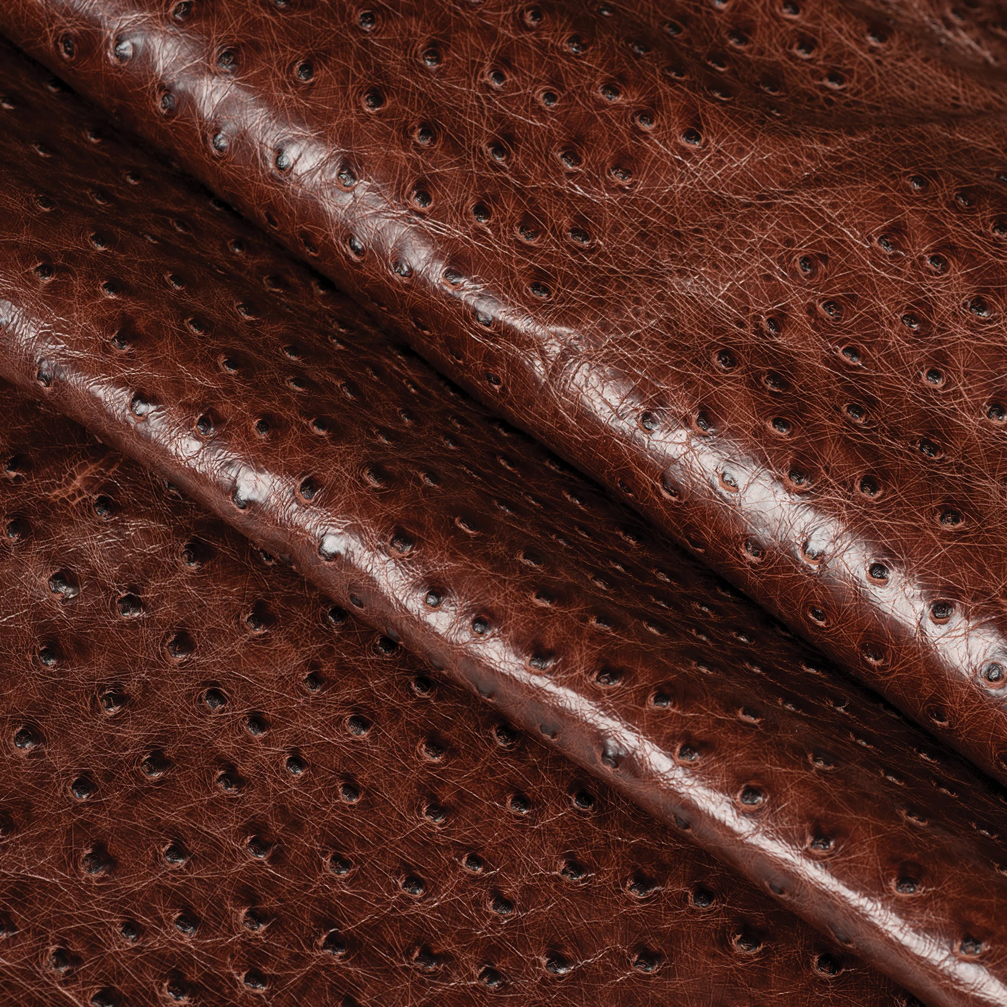 Ostrich Leather - Image 14