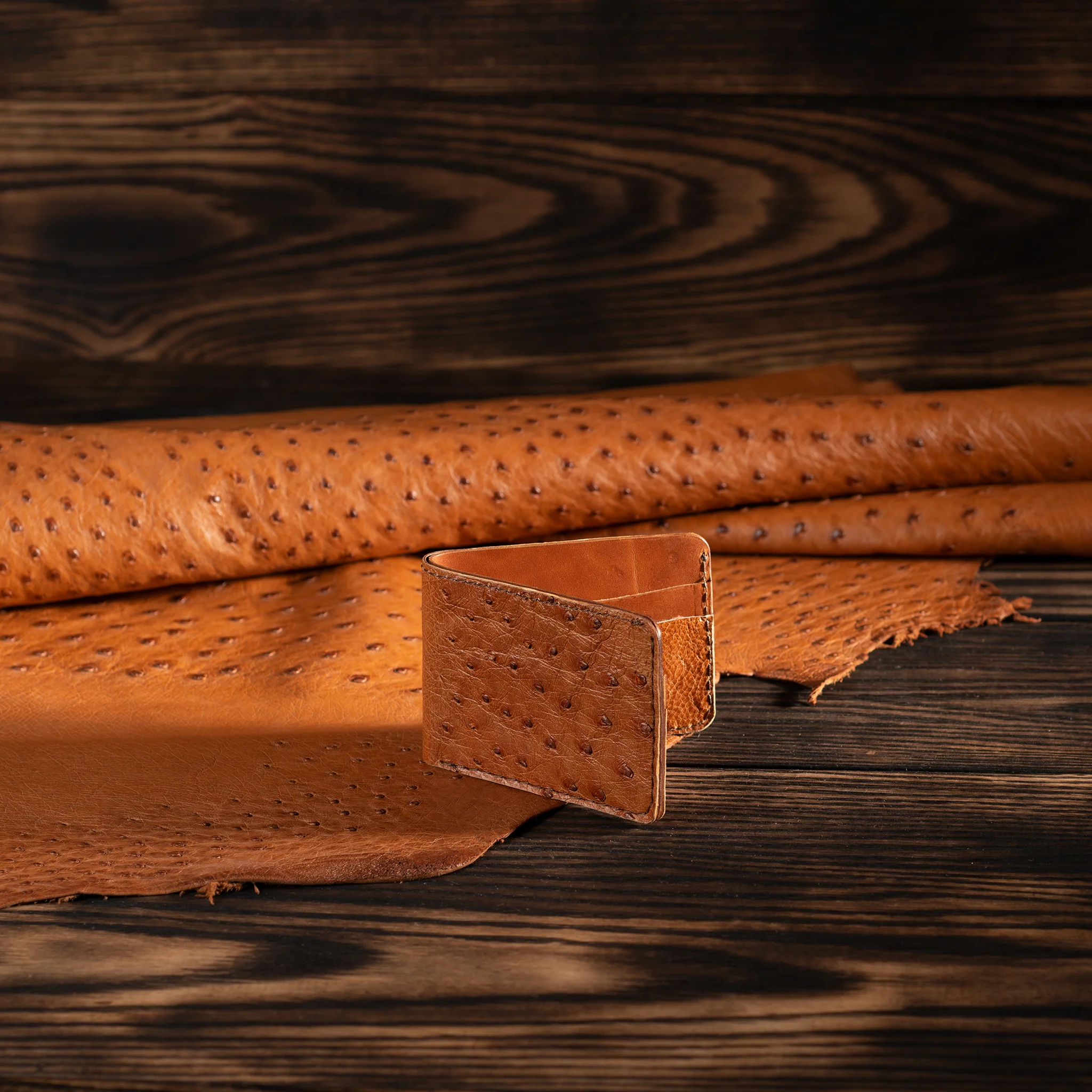 Ostrich Leather - Image 4