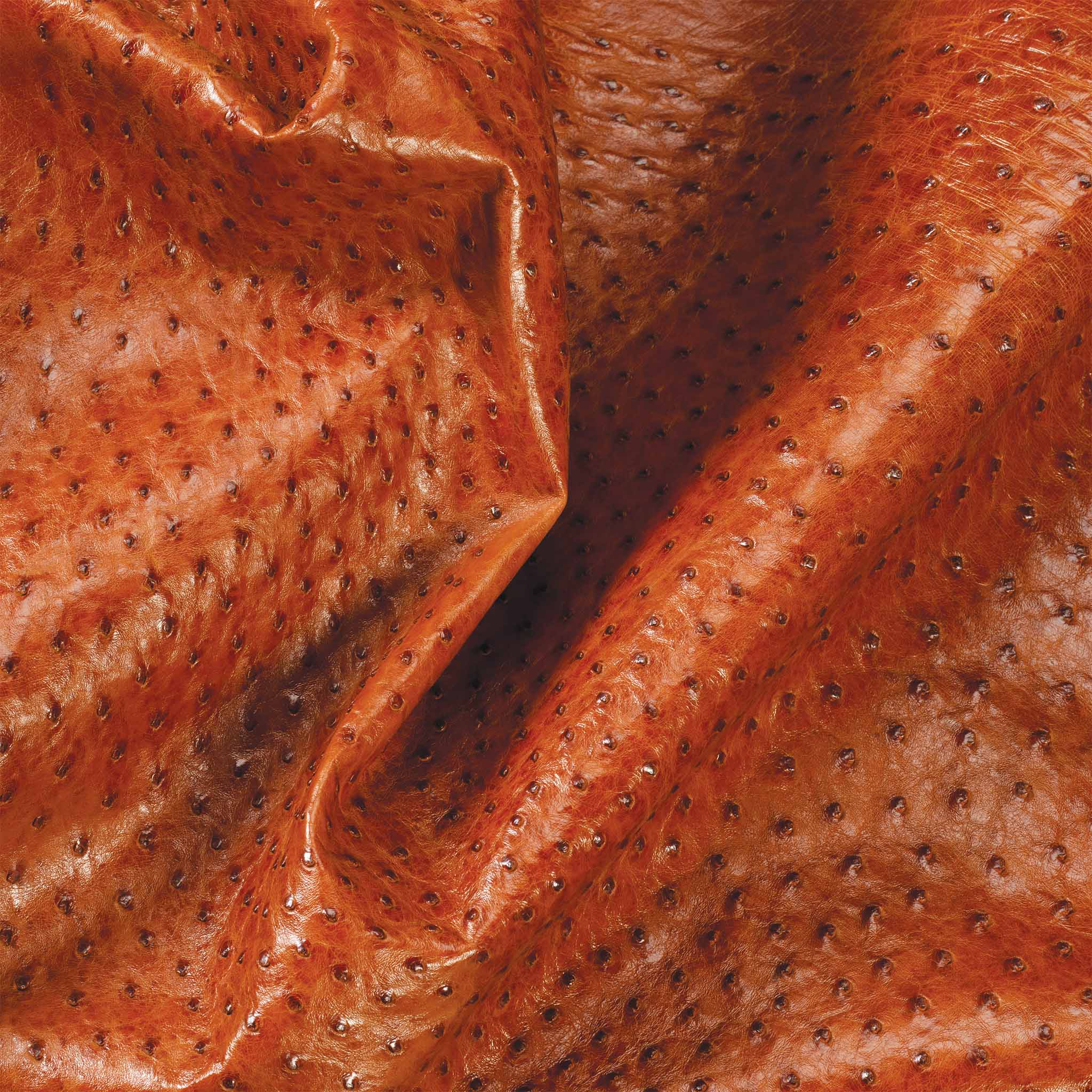 Ostrich Leather - Image 7