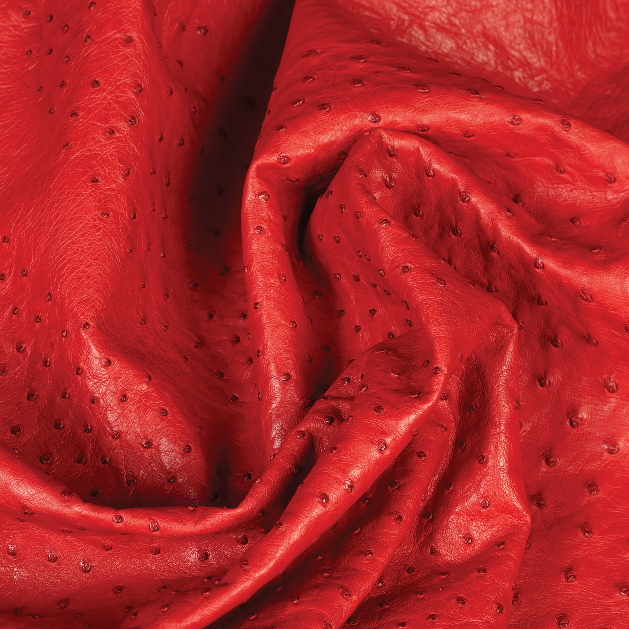 Ostrich Leather - Image 9