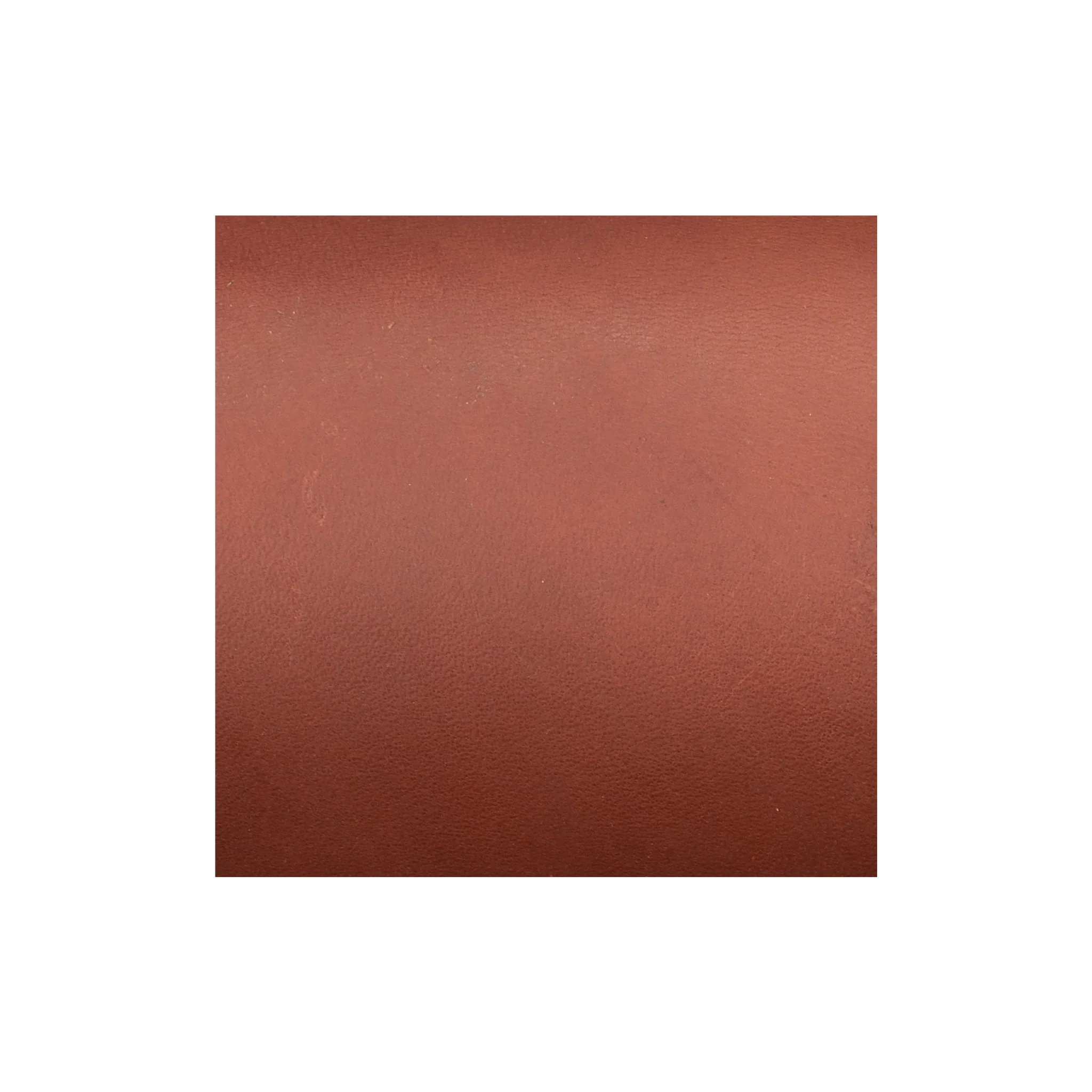 Sample, CHAHINLEATHERĀ® English Bridle Sides - Image 2