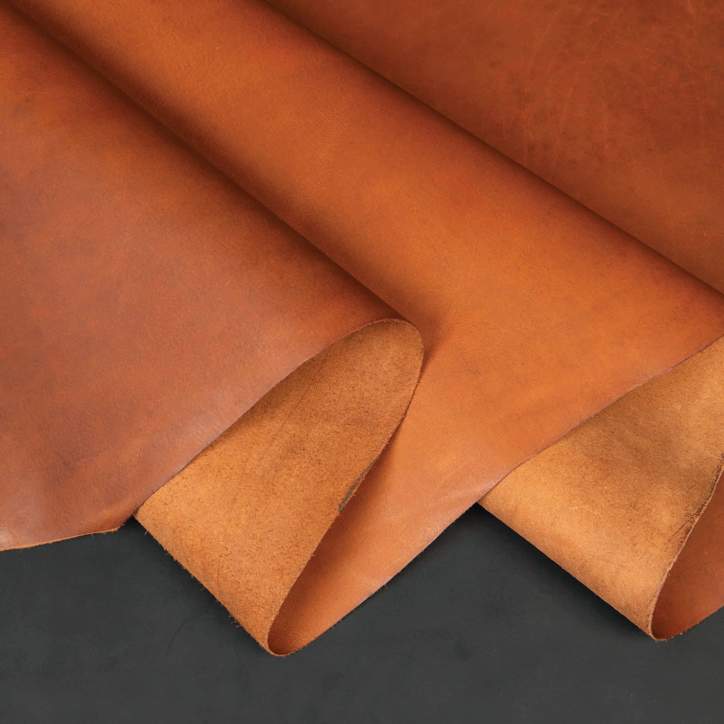 Sample, Water Buffalo Leather, Single Bend - Image 11