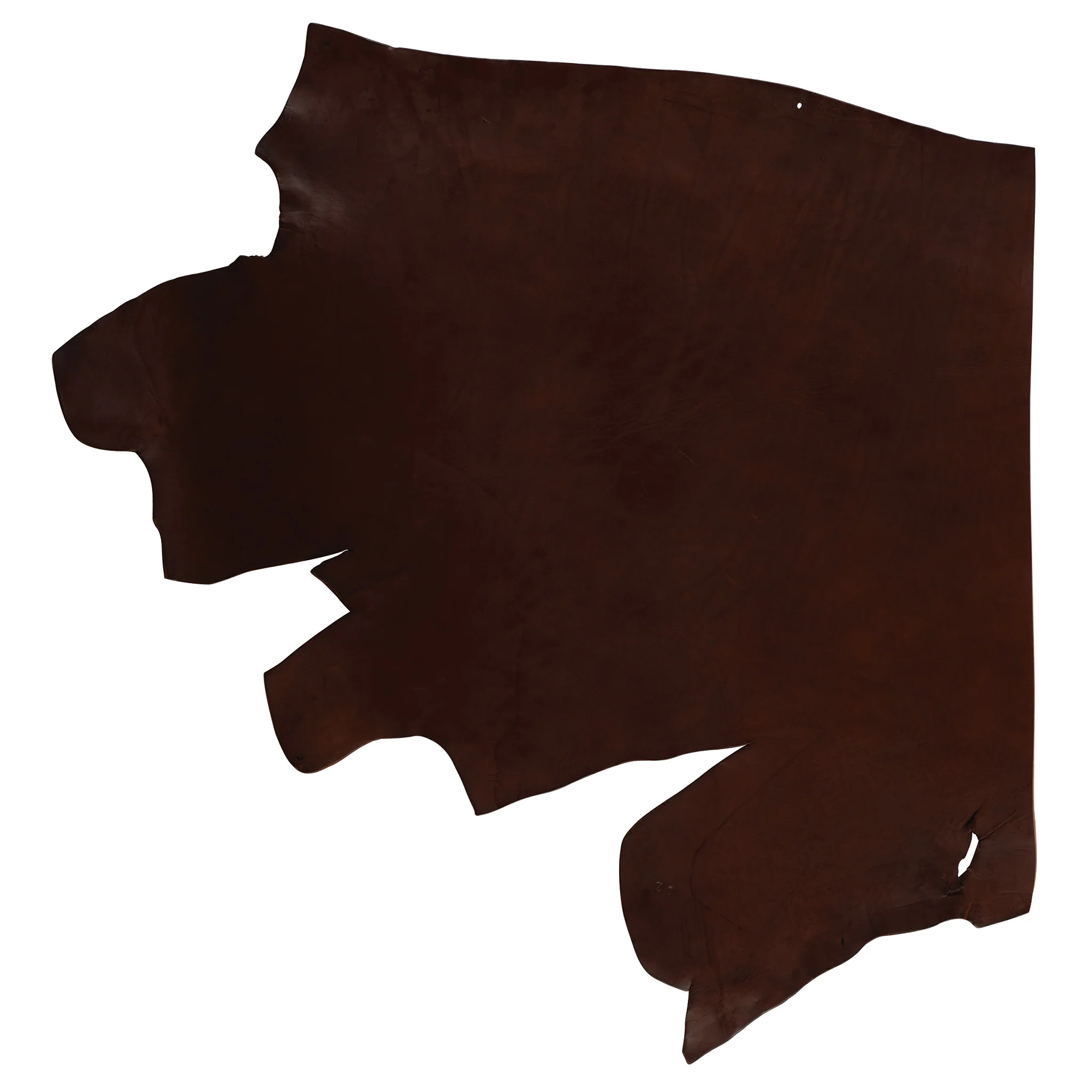 CHAHINLEATHERĀ® English Bridle Leather, Single Shoulder, 12/13 oz. - Image 3