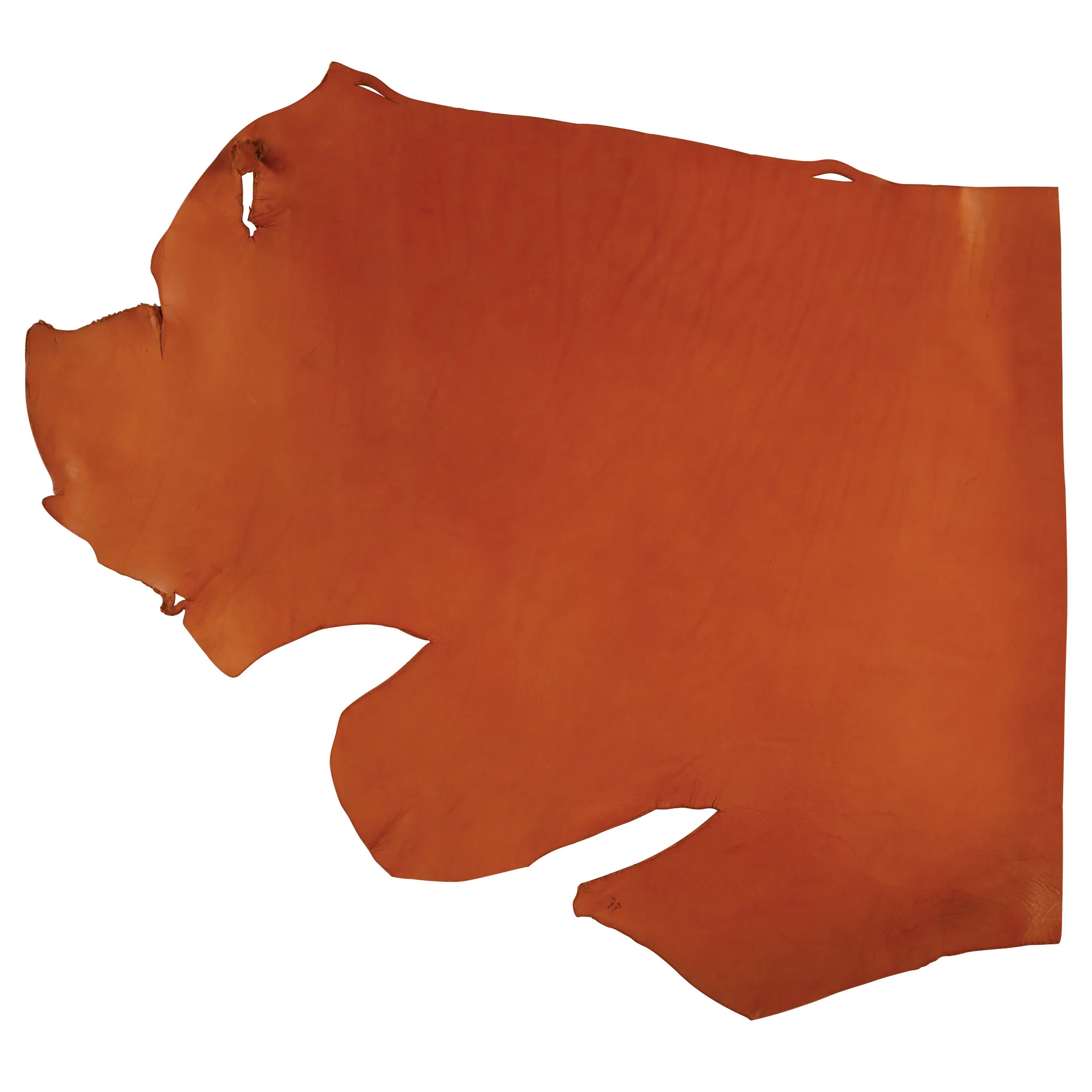 CHAHINLEATHERĀ® English Bridle Leather, Single Shoulder, 12/13 oz. - Image 7