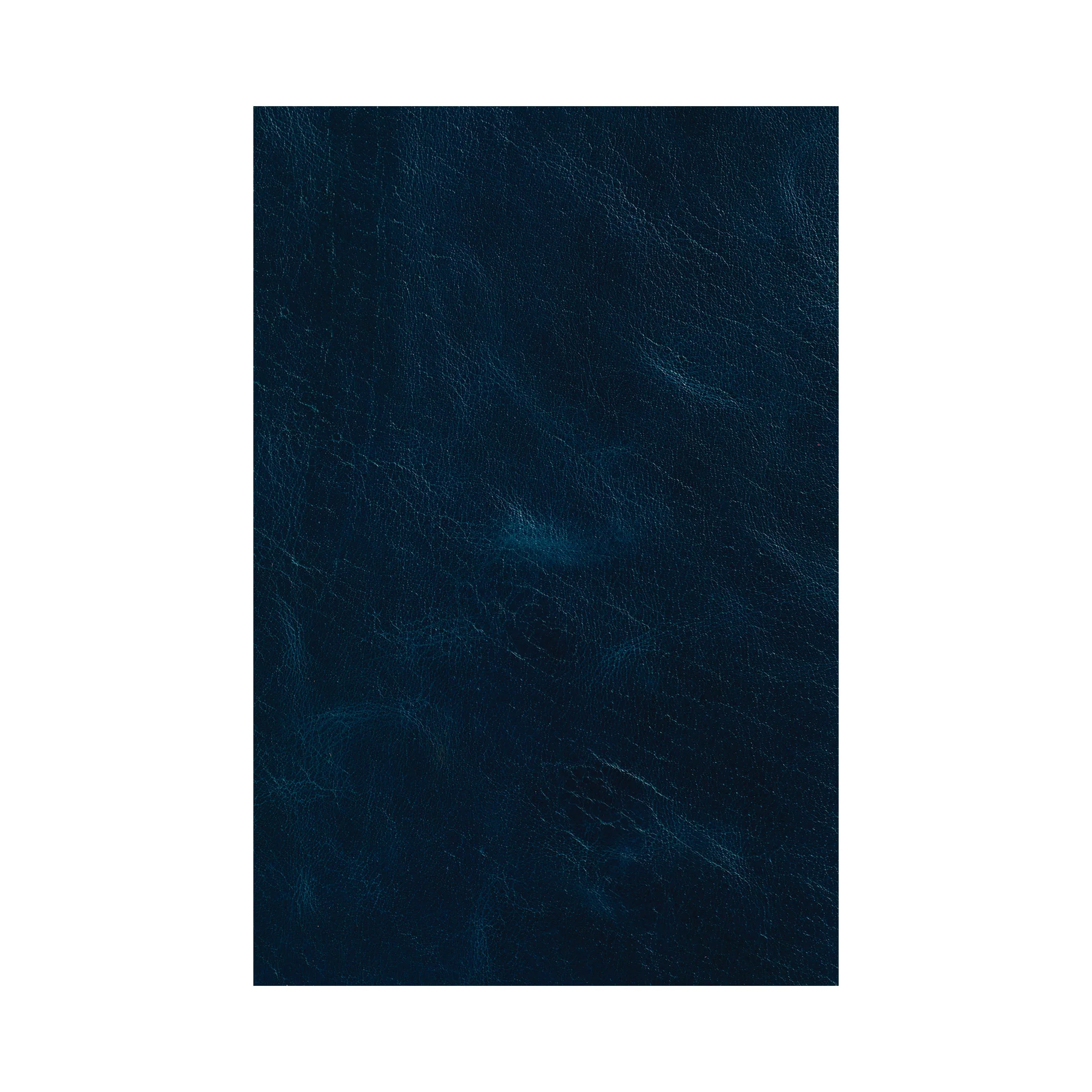 Western Crunch Water Buffalo Leather Panel - Image 4
