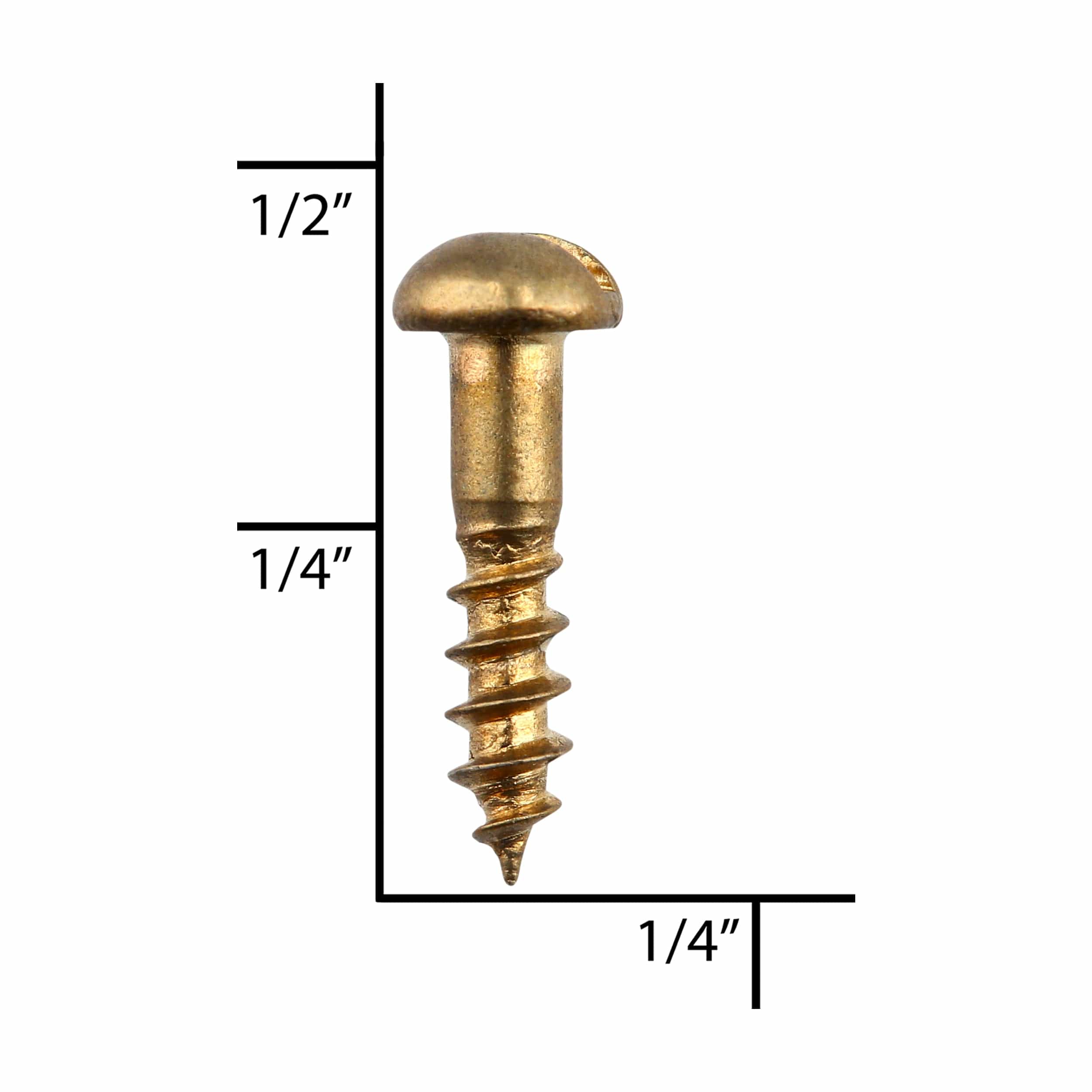 3/8" Brass, #2 Round Head Wood Screw, Solid Brass-PK24 - Image 4